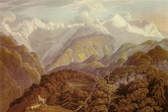 Havell and Son/Robert Havell/Robert Havell