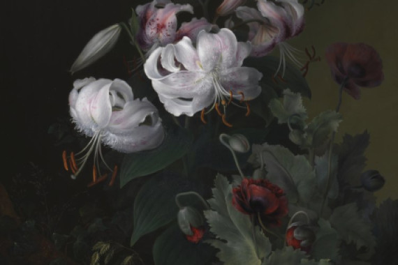 Hermania Sigvardine Neergaard