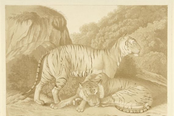 Isaac van Haastert (signed by artist)