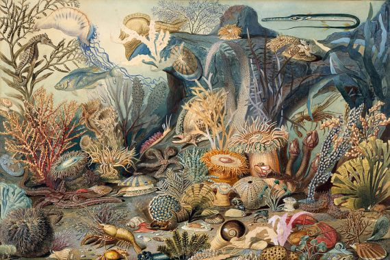 James M. Sommerville/Christian Schussele