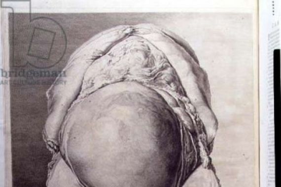 Jan van after Rymsdyk