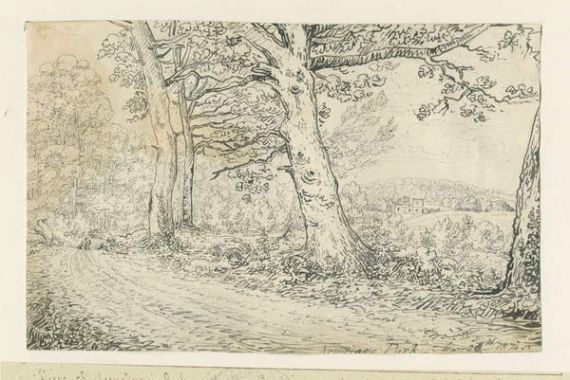 John Allport