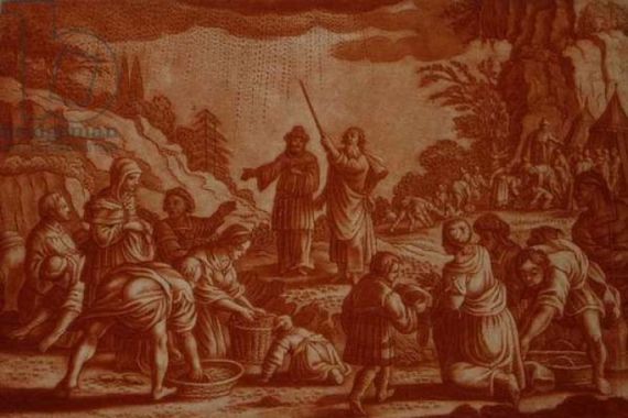 Mattaus II after Merian