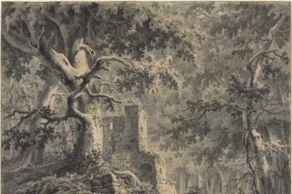 Paulus van Liender