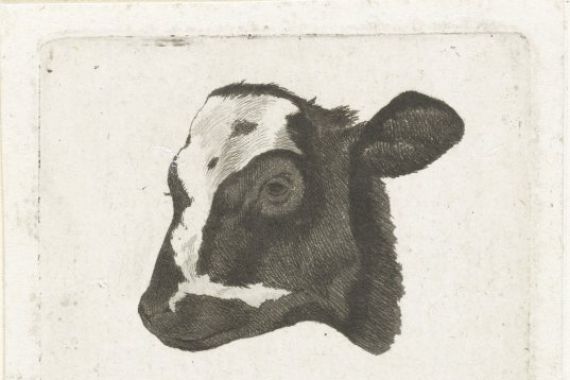 Pieter Barbiers (IV)