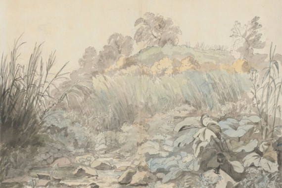 Samuel Woodforde