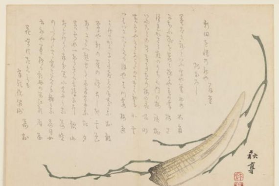 Uragami Gyokudo