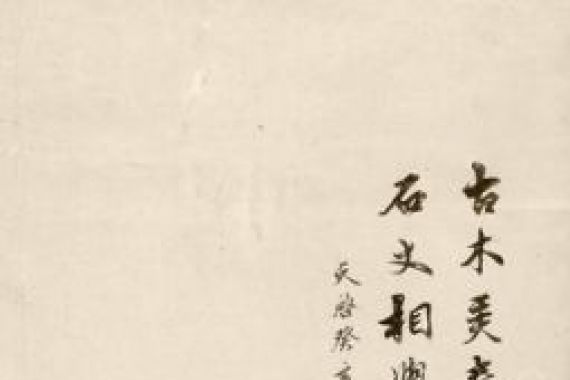 Zhifan Zhu