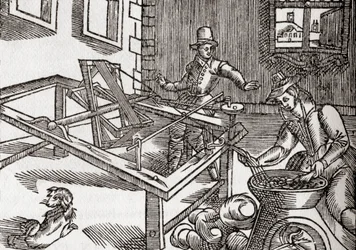 Silkevikling, faksimile af et billede i Edward Williams "Virginia Truly Valued", 1650, fra 