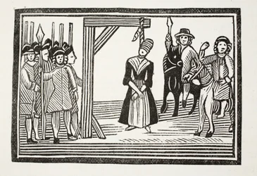 The Whole Life and Adventures of Miss Davis, almindeligvis kaldet The Beauty in Disguise, illustration fra 
