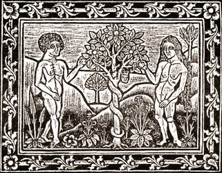Træet, hvorfra Adam spiste æblet, faksimile fra en meditationsbog, den første bog trykt i Albi, Languedoc, i 1481