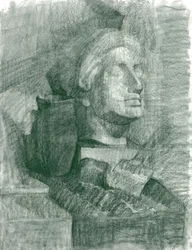 Studie 5