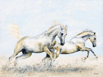 Arabiske riddere