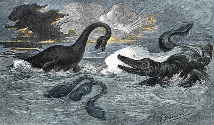 Plesiosaur og en ichthyosaur fra den nedre jura