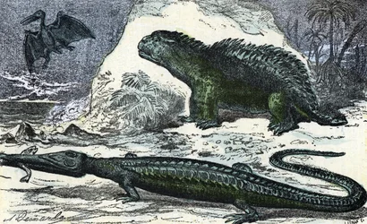 Forhistorie: fremstilling af en teleosaur (forlænget snude) og en hyleosaur fra juratiden (Forhistorie, Jura: Teleosaurus og Hylaeosaurus). Gravering fra 