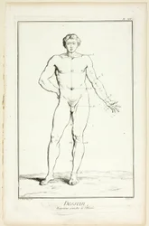 Design: Mandens generelle proportioner, fra Encyclopédie