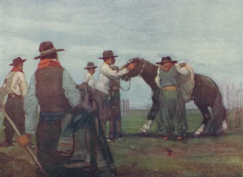 Gauchos bryder ind en ung hest, 1916