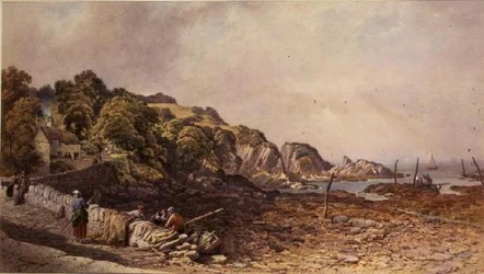Lee nær Ilfracombe
