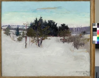 Vinterlandskab, 1902