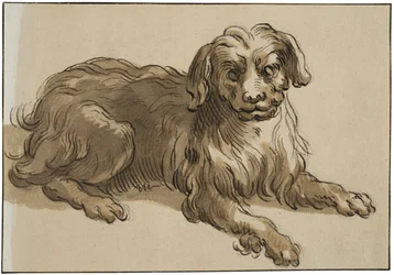 Langhåret hund