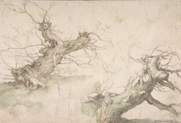 Studier af Two Pollard Willows, Verso: Wide Landscape Prospect, slutningen af det 16.-midten af det 17. århundrede.