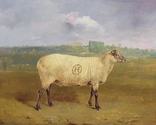 Et præmieret får med monogrammet „H“, tilhørende hr. J. A. Houblon, Hallingbury Place, Essex, 1812