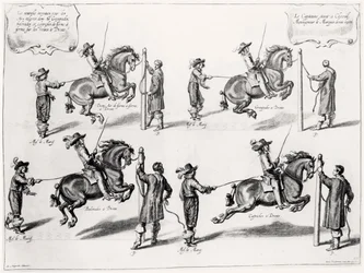 Illustration fra en ridemanual, indgraveret af Peeter Clouwet (1629-70), 1658