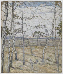 Birketræer