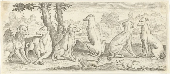 hunde Dyr (serietitel)