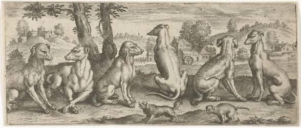 hunde Dyr (serietitel)