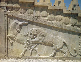 Løve i kamp med en tyr, relief på Apadanas østlige trappe, achaimenidisk periode, ca. 515