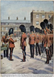 Uddeling af kløver til Saint Patrick (Patron of Ireland) af irske regimenter, England - tegning af A. Beltrame, i "La Domenica del Corriere""