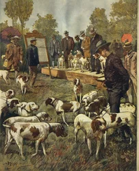 Hundeudstilling og feltforsøg med jagthunde i San Siro (Milano), af Achille Beltrame (1871-1945), fra La Domenica del Corriere, 2. juli 1899