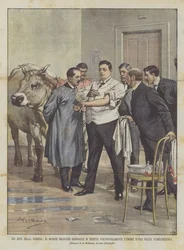 Videnskabens helte, den franske læge Garnault injicerer sig selv frivilligt LUmore D En tuberkuløs ko