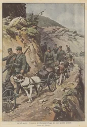 Hunde til krig, transporterer vandforsyninger til vores forreste positioner