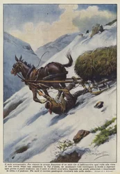 Det neurasteniske muldyr