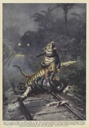 Midt i den indiske skov venter en mand på toget nær jernbanelinjen