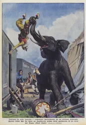 Kastet op i luften, kørt over og trampet ihjel af en vred elefant