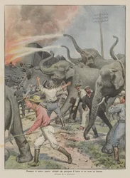 Brandmænd af en ny slags, elefanter, der slukker brande i et brændende tog