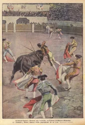 Barbarshows