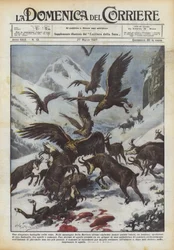 En enestående kamp på toppene