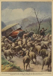 Der opstod uekatomer af får på vejen, der forbinder Bra med Alba, i provinsen Cuneo