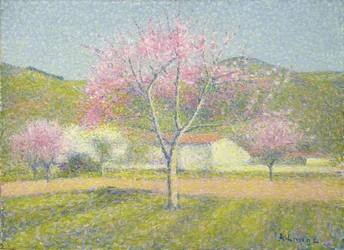 An Orchard in Springtime, Apple Trees in Bloom, ca. 1920-29 (olie på bomuld)