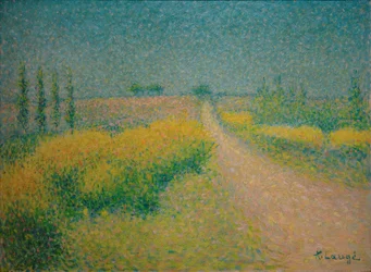 Kostvejen