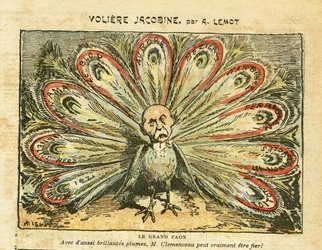 Illustration af Achille Lemot (1846-1909) i Le Pèlerin, 26/01/08 - Jakobinsk voliere - Venstreblokken, vinkrise, vinavlernes oprør, Narbonne, Béziers, Aurore (avis) - Georges Clemenceau, påfugl - Animalisering