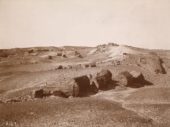 I den forstenede skov (generel udsigt, Middle Park), ca. 1895-1897 (foto)