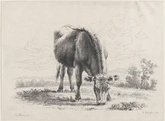 Kogræsning, 1805., 1805.