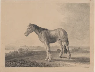 Hest stående på en mark i profil til venstre, 1809.
