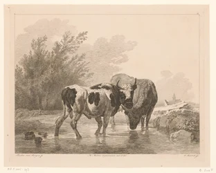 To køer i et vandløb Dyr efter malerier af hollandske mestre (serietitel) Différens animaux graves d