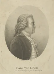 Portræt af Carl Linnaeus 1707-1778, ca. 1800.
